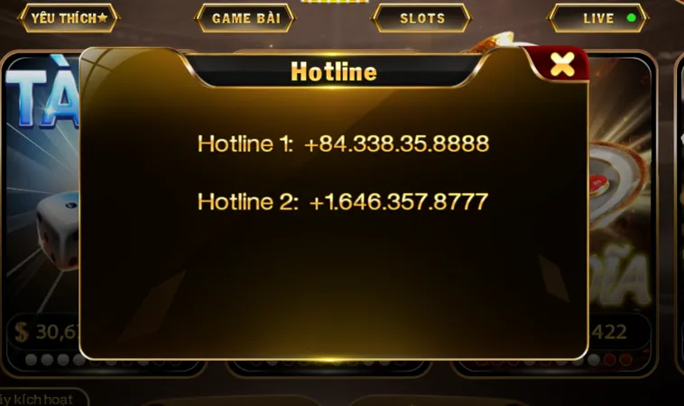 Hotline Hỗ Trợ Tận Tâm - Hữu Ích Luôn Sẵn Sàng 24/7